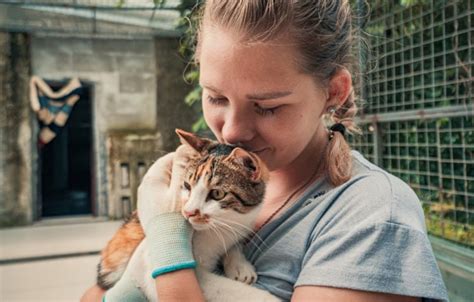 charities for cats|tab for a cause cats.
